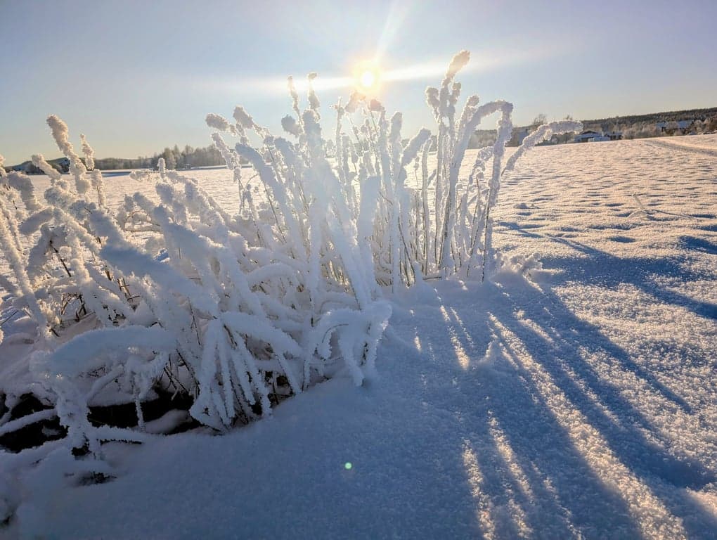 vinterbild 2026.jpg